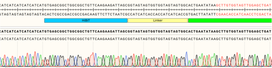 Sequencing Results